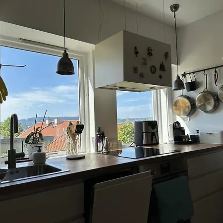 Cozy With Amazing View And Location 公寓 奥斯陆