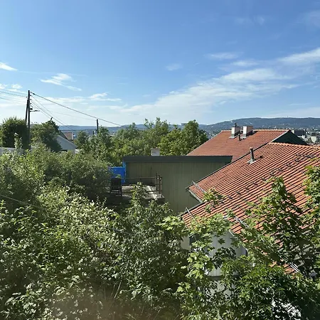 公寓 Cozy With Amazing View And Location 奥斯陆