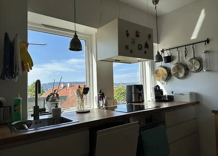 Cozy With Amazing View And Location Διαμέρισμα Όσλο